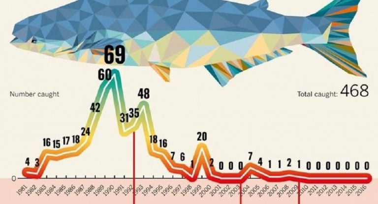 Mekong Eye - News, Analysis And Opinion Focusing On The Environment And ...