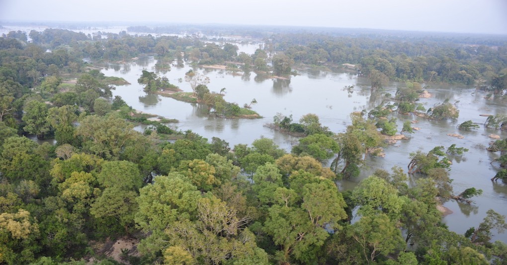 Aerial view of Stung Treng Ramsar site's unqiue flooded forests