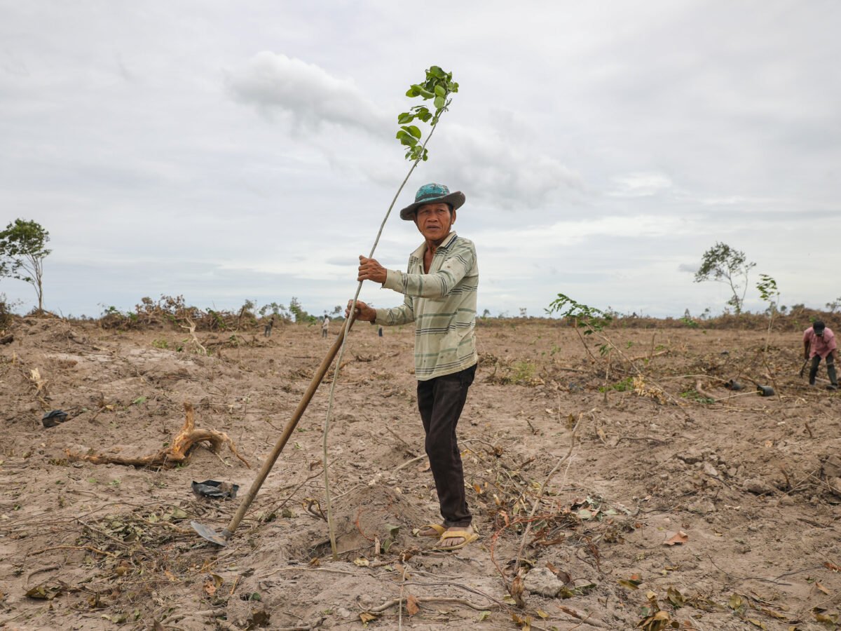 Backlash pushes Hun Sen to intervene with forest development