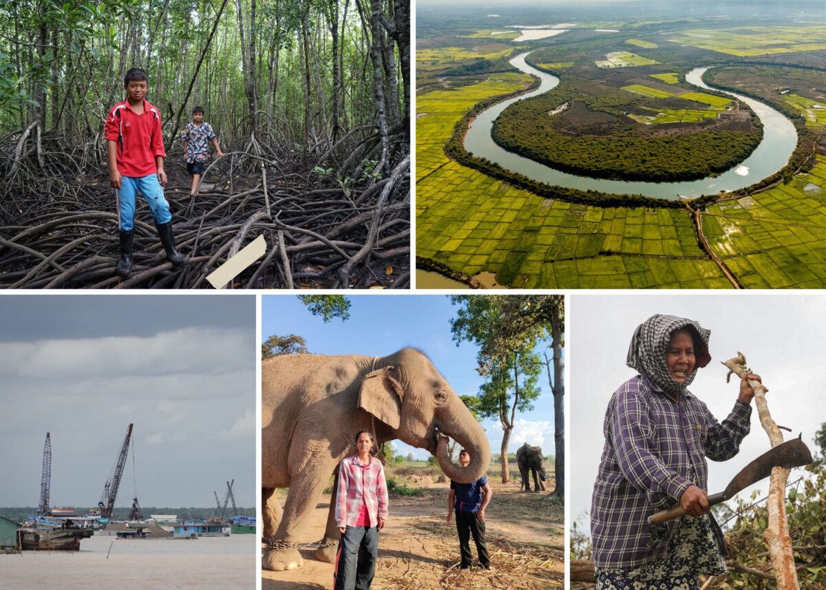 mekong environment