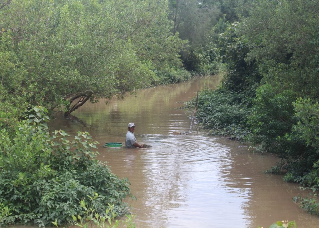 While Vietnam's wind farms provide power, there are hurdles