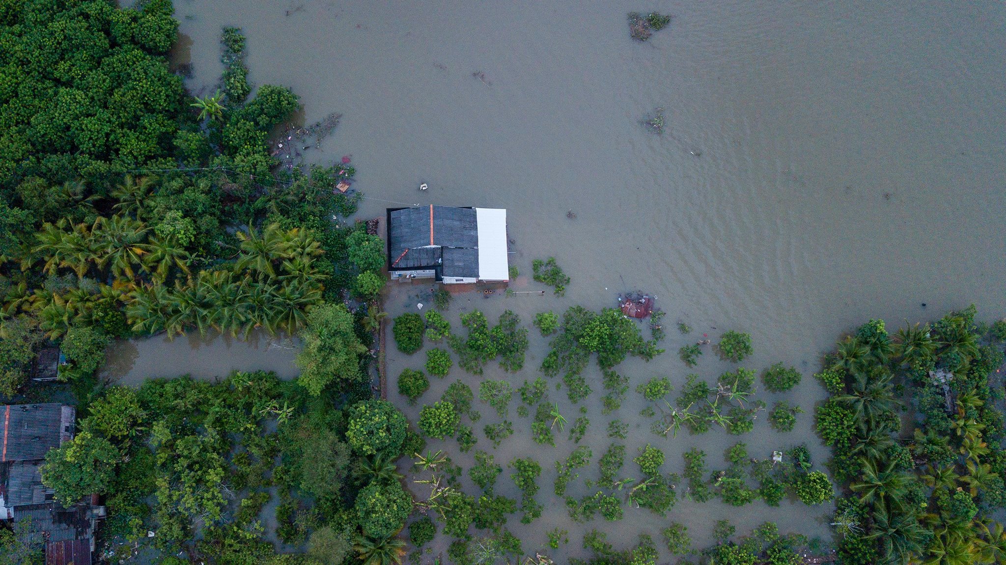 mekong delta