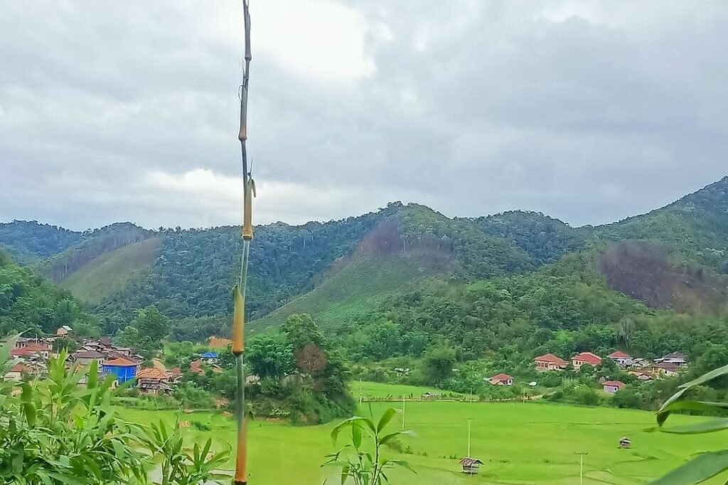 Laos forests