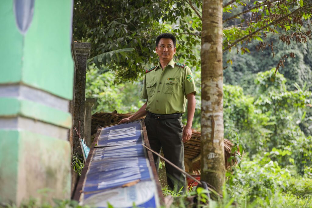 Vietnam elephant