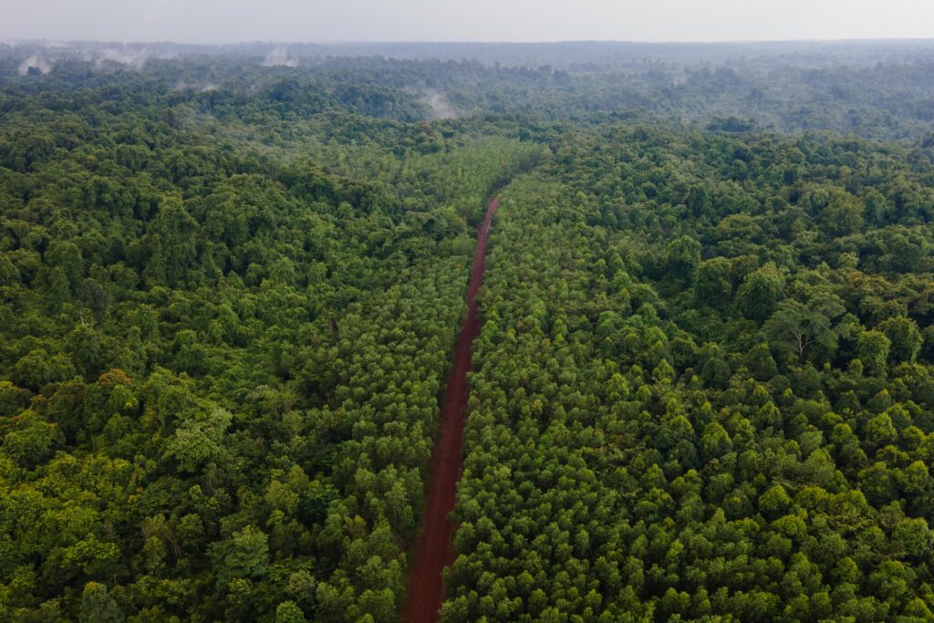 Vietnam Ma Da Forest