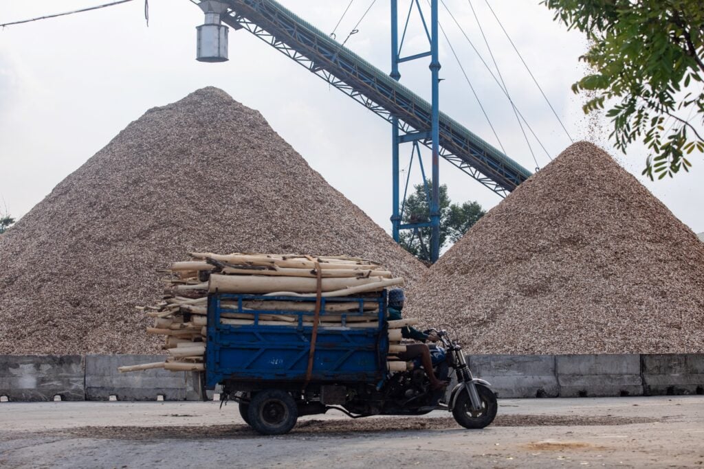 Vietnam wood chips