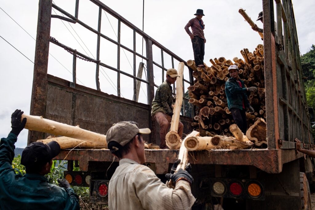 vietnam wood transport