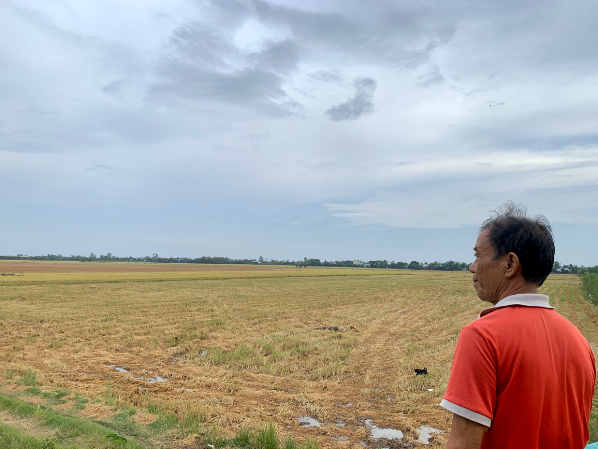 VnSAT participant Trần Thanh Bảy visits his rice field. PHOTO: Lam Nguyễn