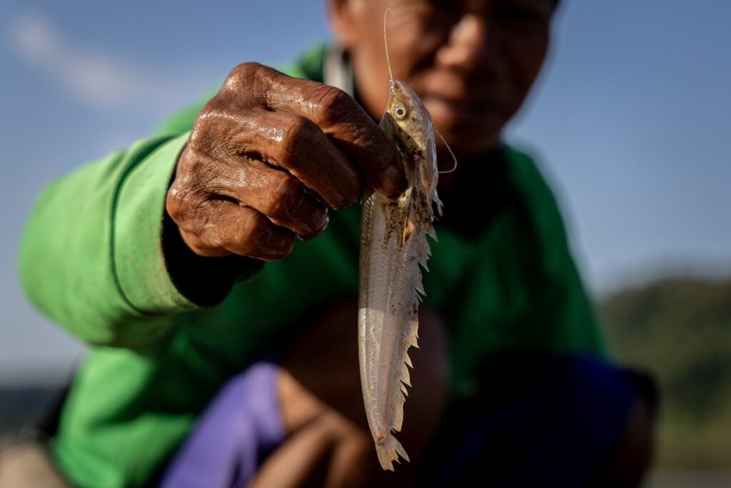 fish catch Mekong river