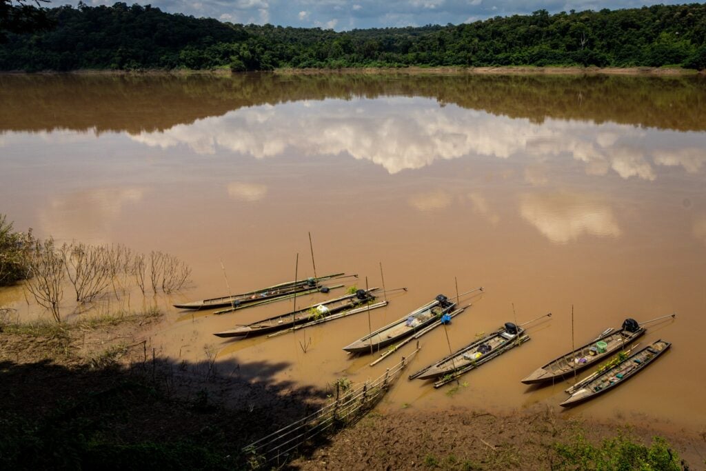 fish mekong