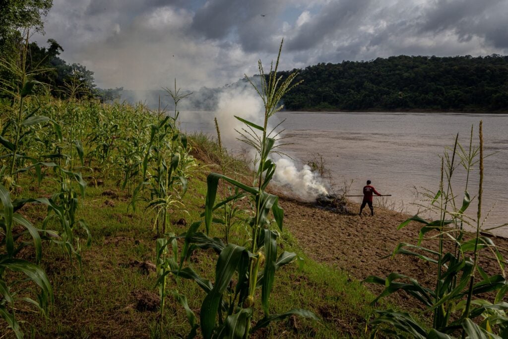 Mekong farming