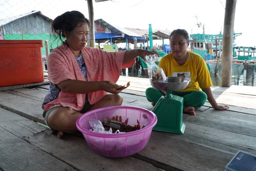 Koh Kong fish