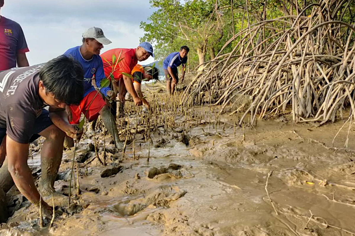 Myanmar mangrove river