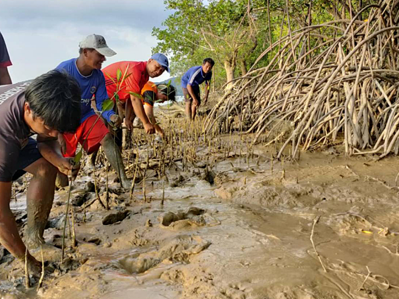 Myanmar mangrove river