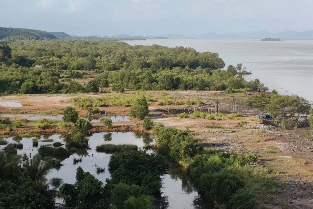 Myanmar mangrove river