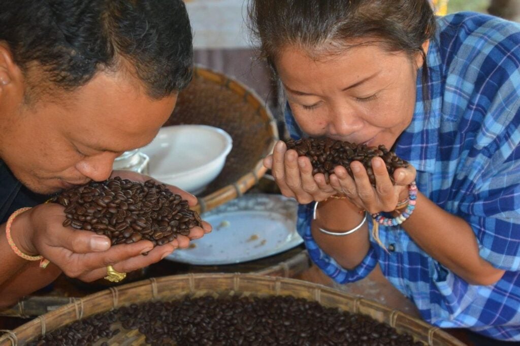 Laos coffee