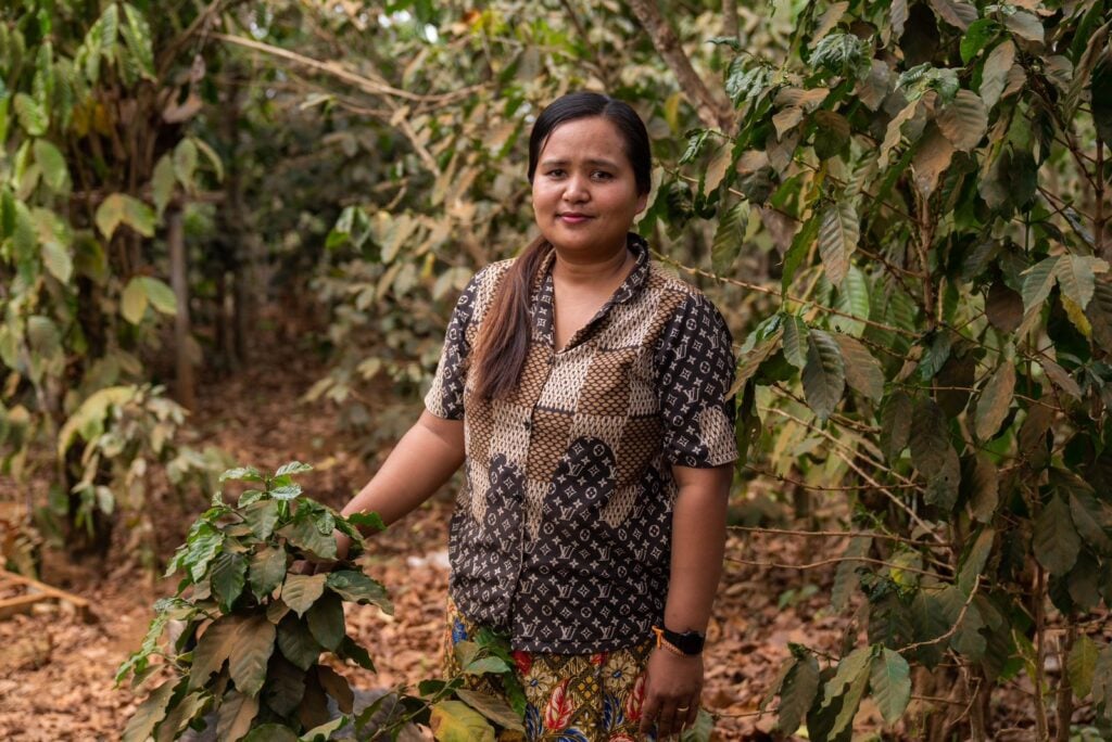 coffee farmer laos