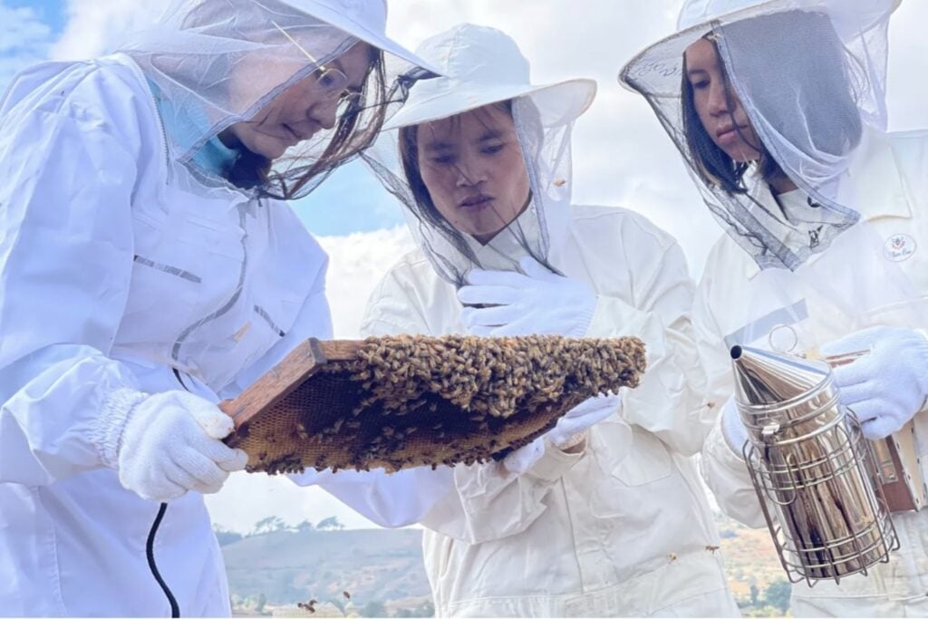 Myanmar honey