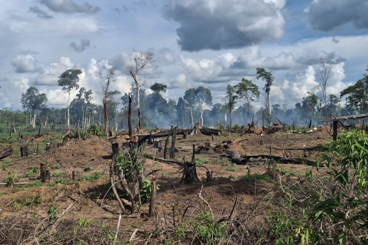 Cambodia farm clear land