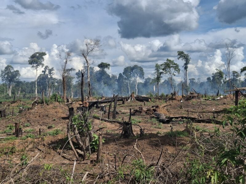 Cambodia farm clear land