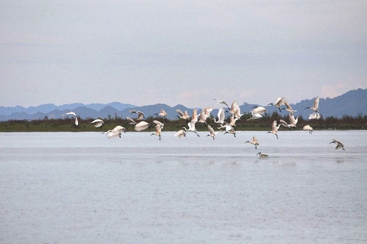 myanmar ramsar