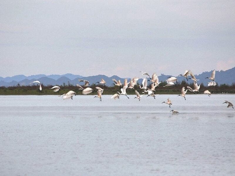 myanmar ramsar