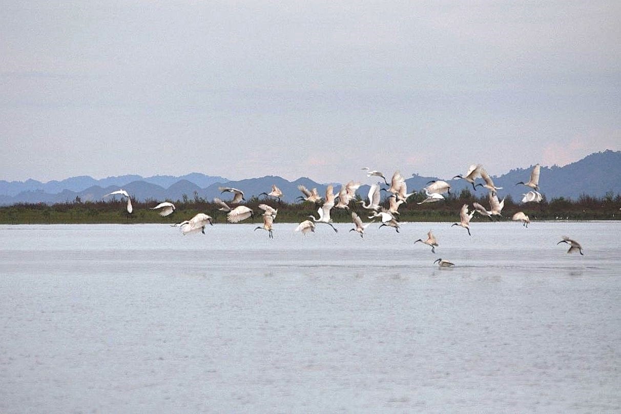 myanmar ramsar