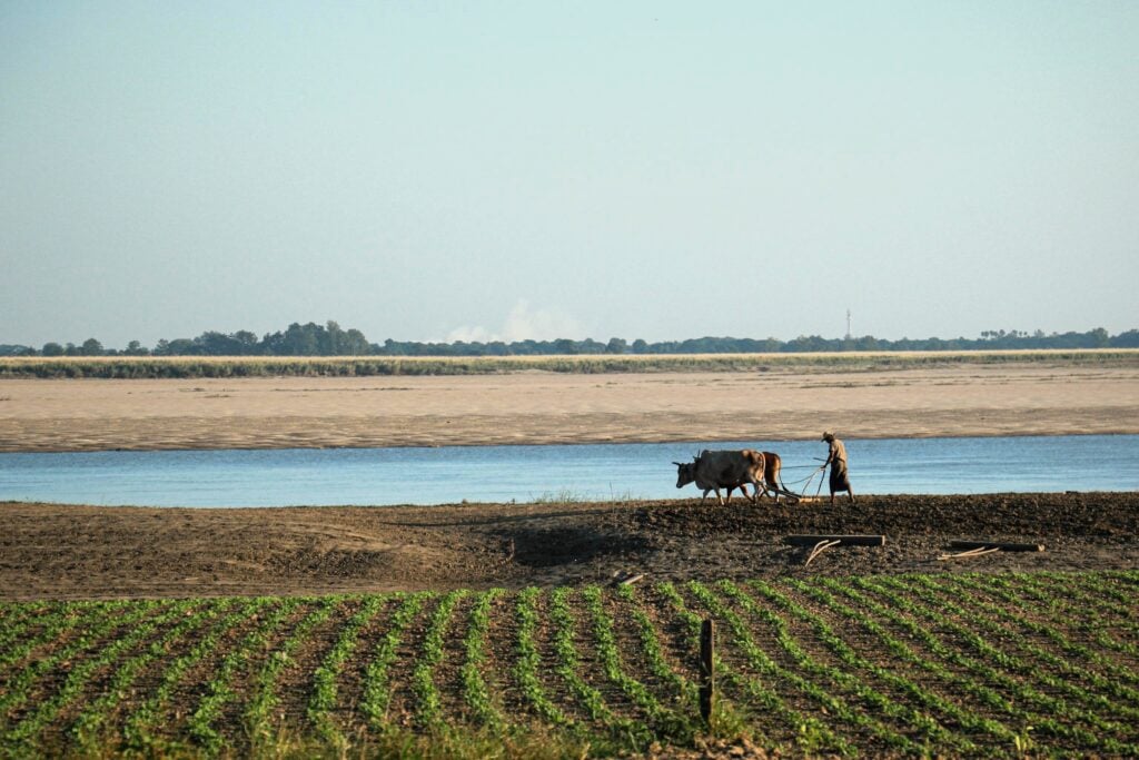 farmer myanmar