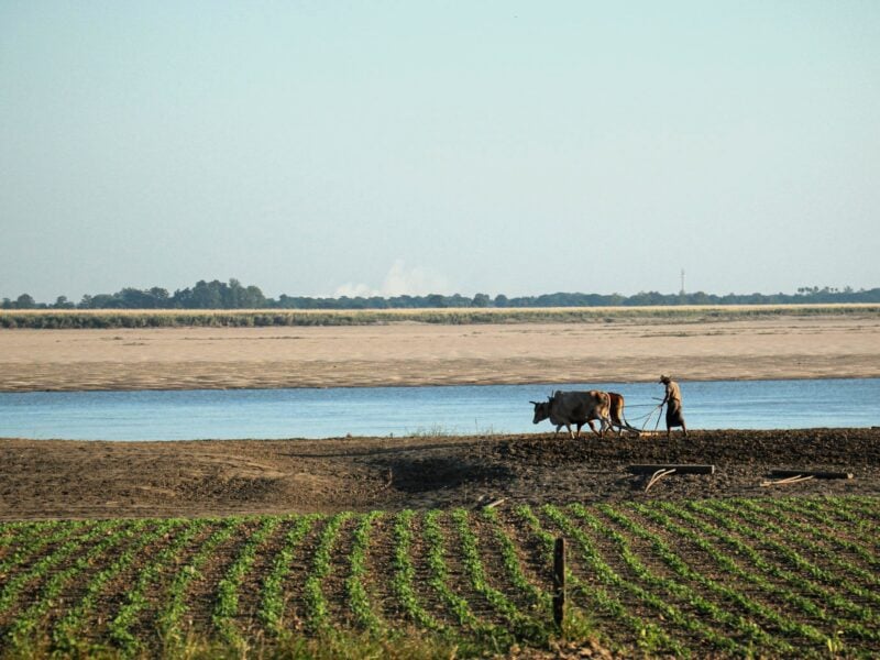 farmer myanmar