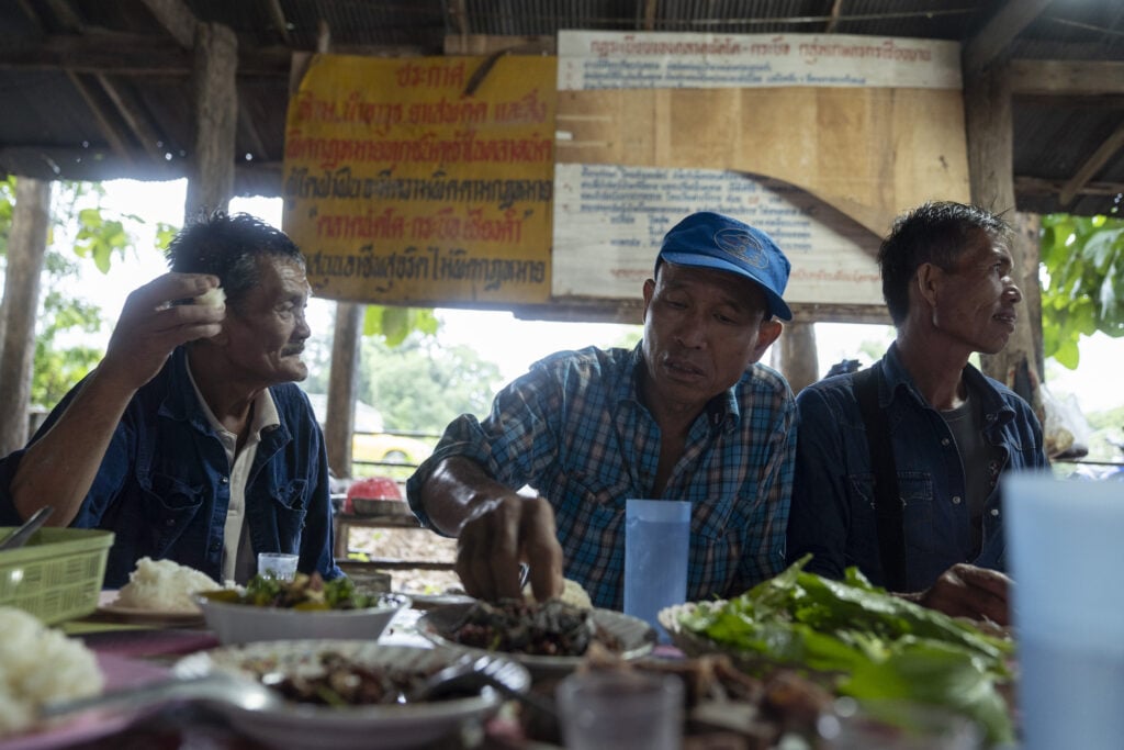 Thailand beef cattle