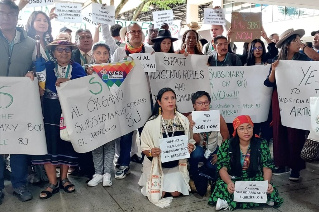 indigenous people COP16