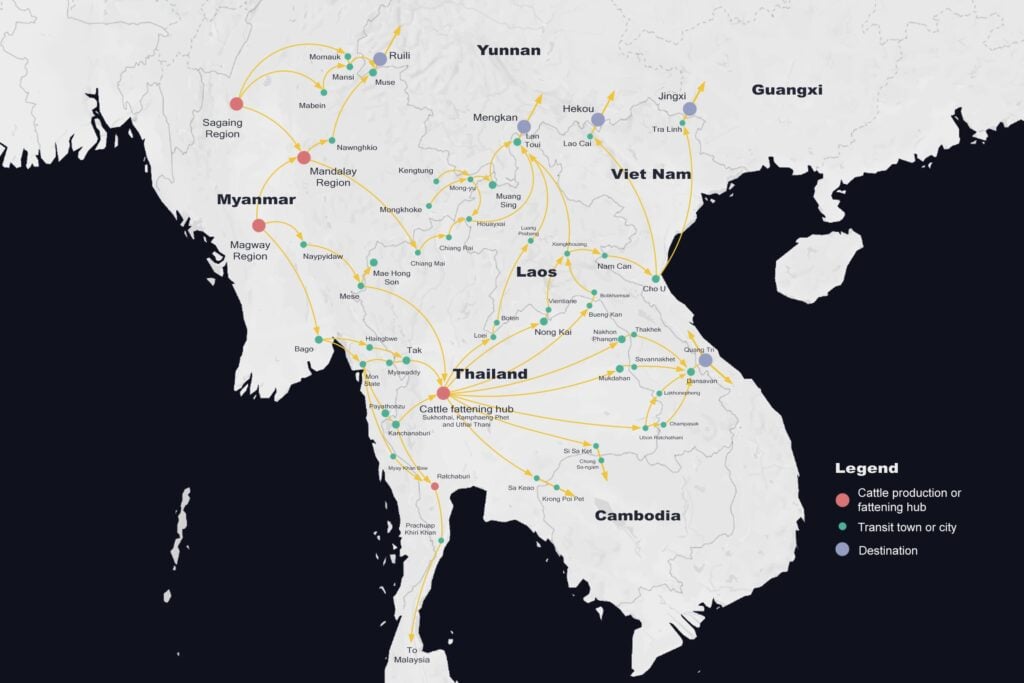 cattle route