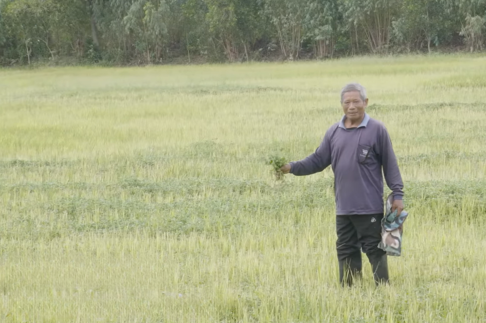 Thai farmer