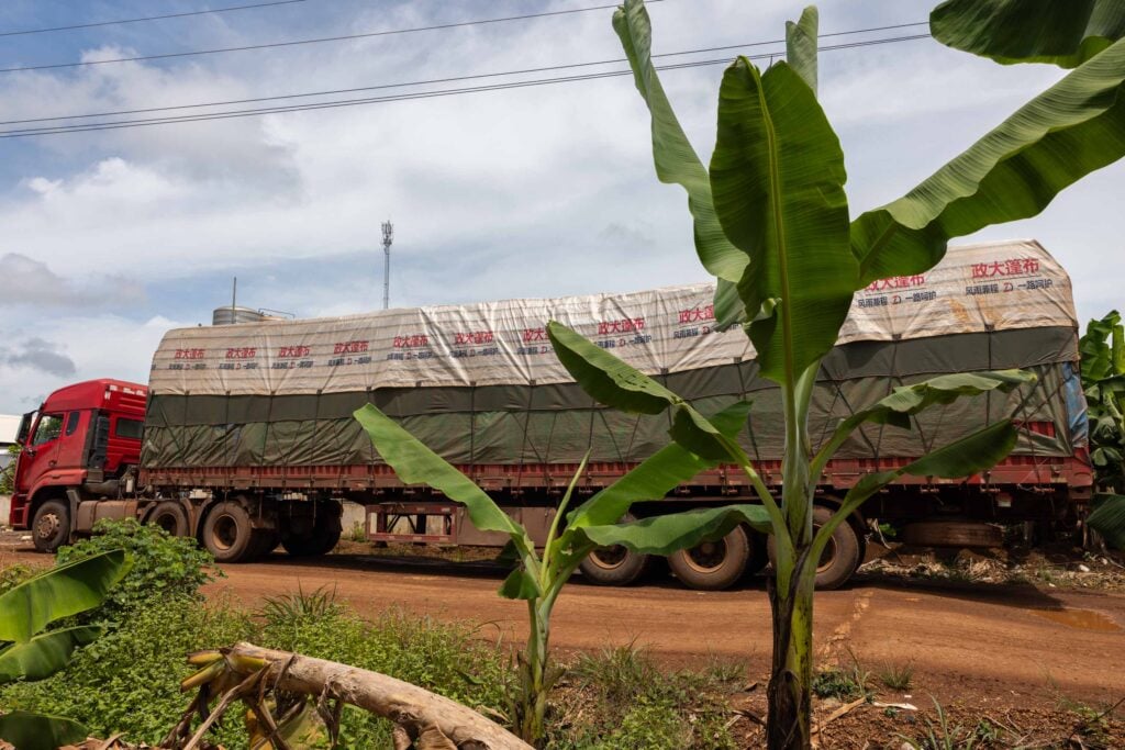 Laos banana