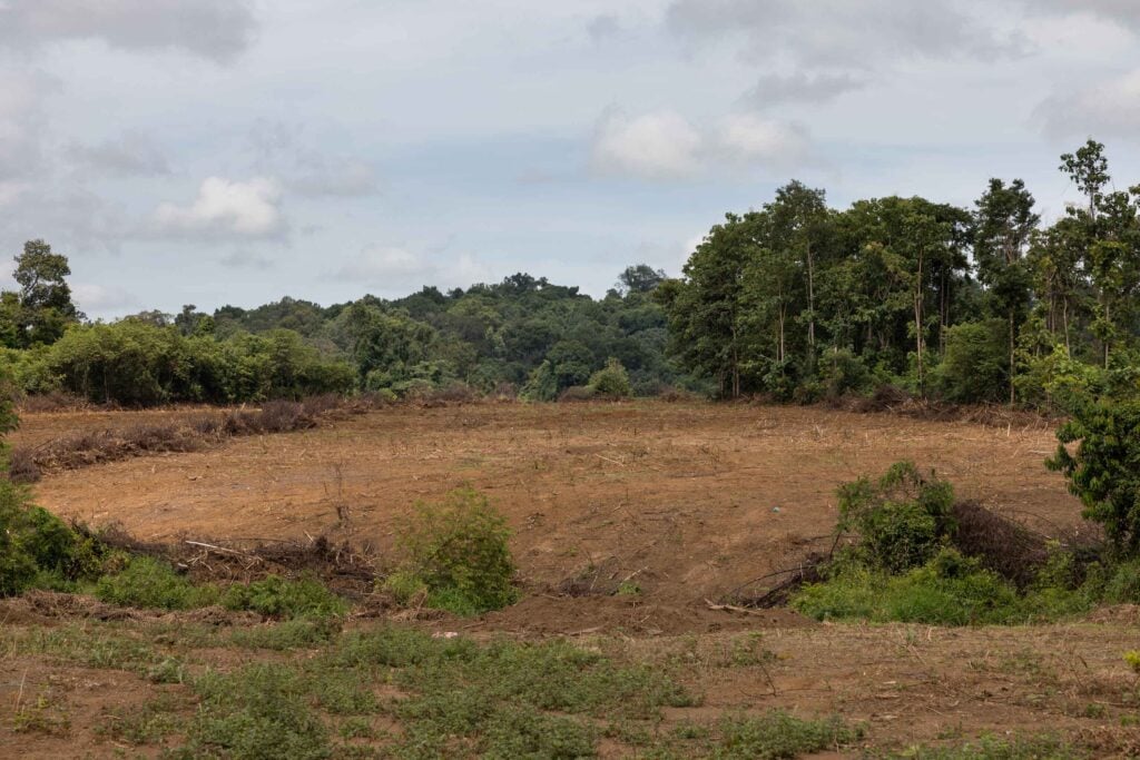 laos deforestation