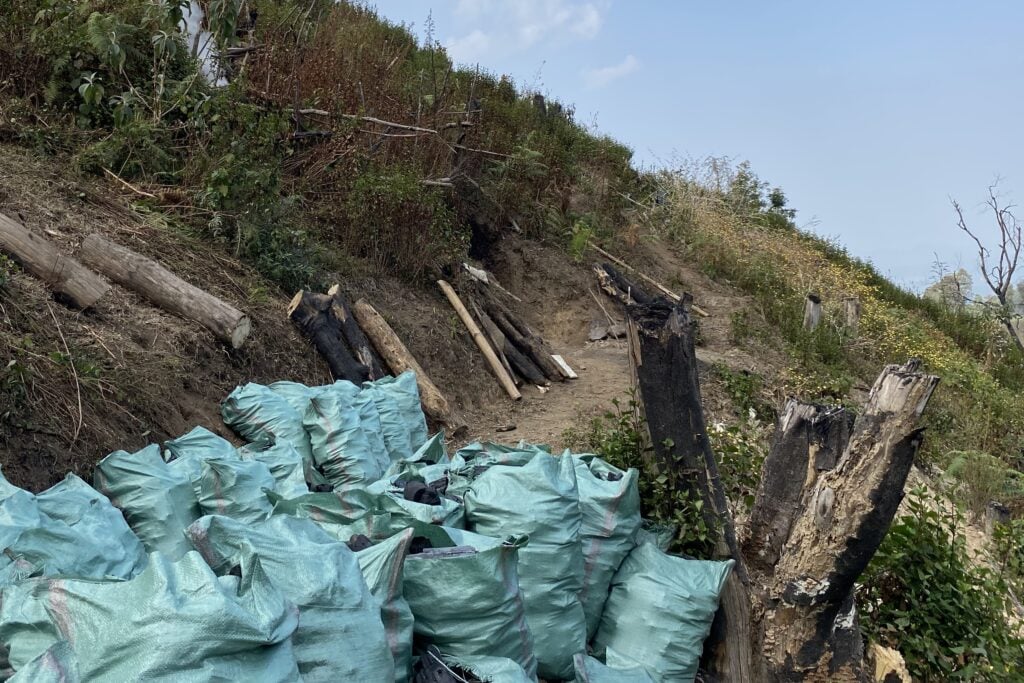 charcoal forest Myanmar